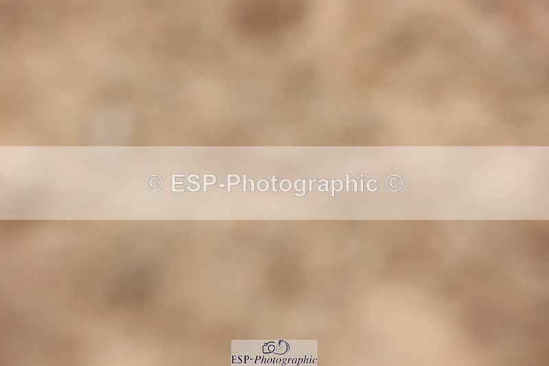 240621A-120944-00641 - Cls 12 BD Music Medium