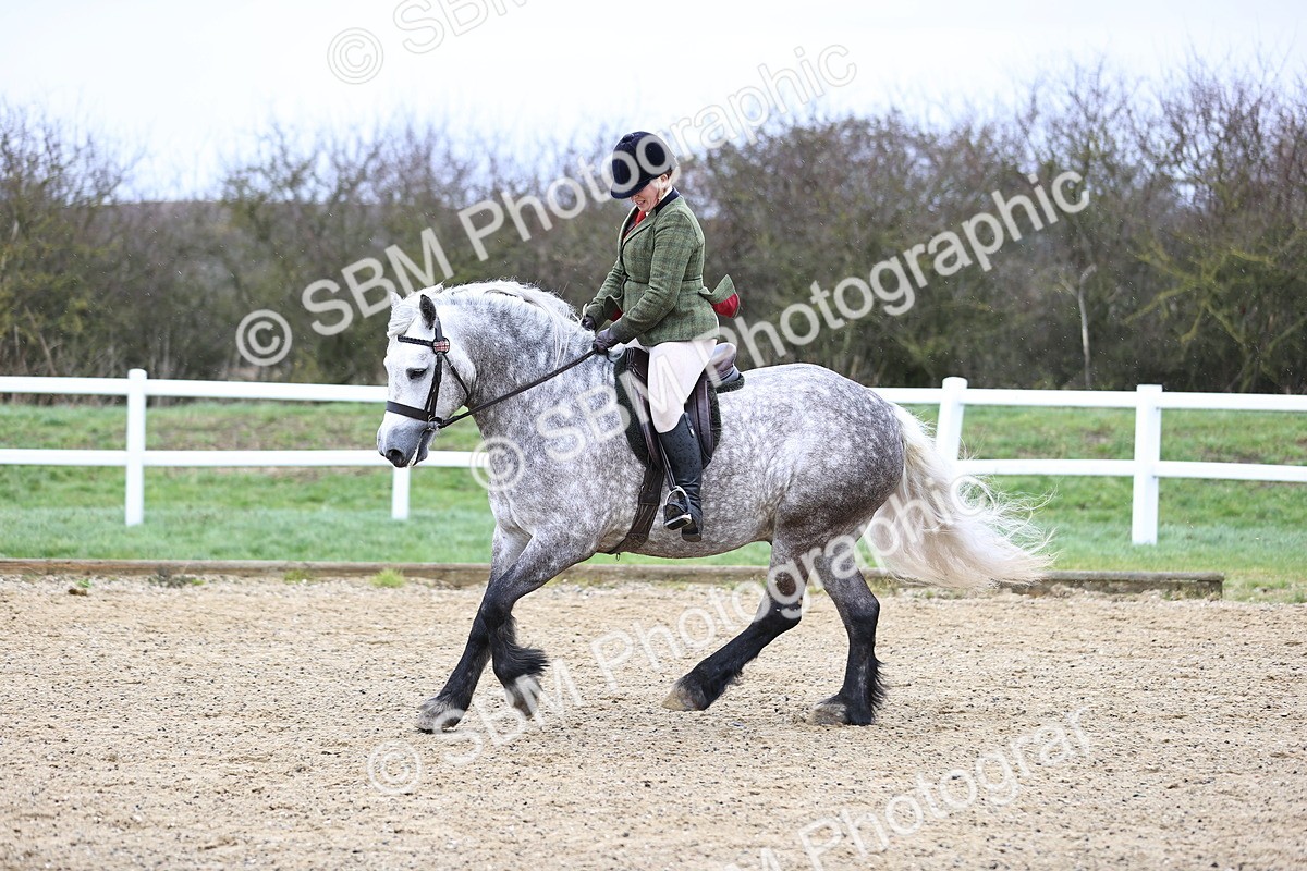 SBM_007544 - Class 31-32 - M&M Confined Novice Small-Large