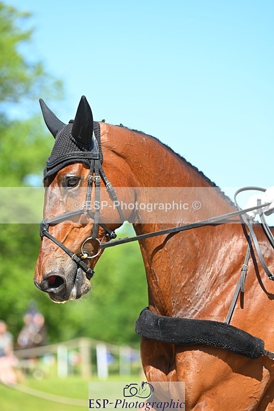 230526-103430-05644 - 462-WOODLANDS_BE_DARING-Sasha_Hargreaves-DR