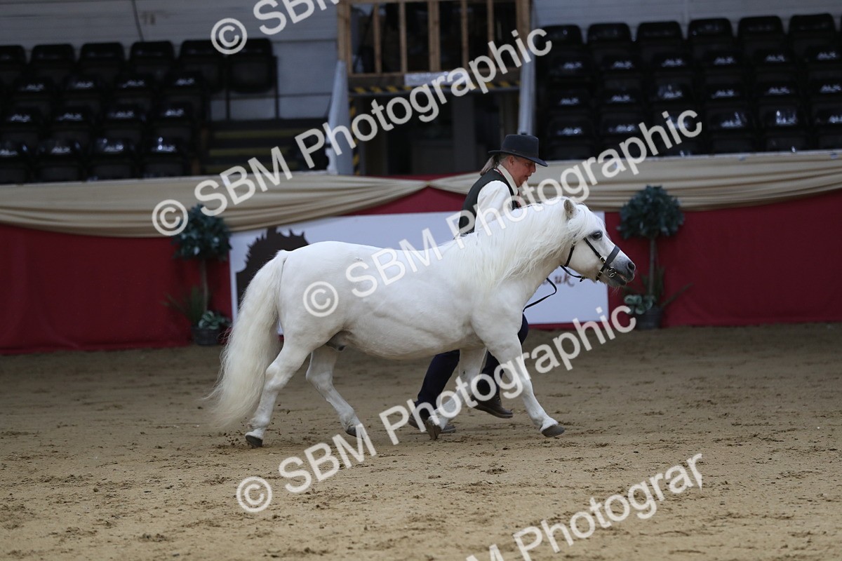 SBM_04923 - Class 8R- Regional -IH Veteran