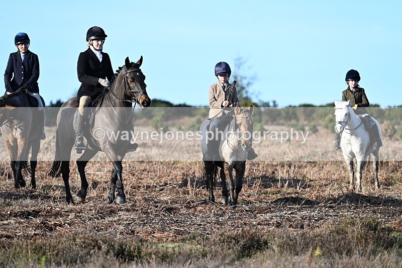 WJ7_7336 - Line 3 (no line 4 or 5)