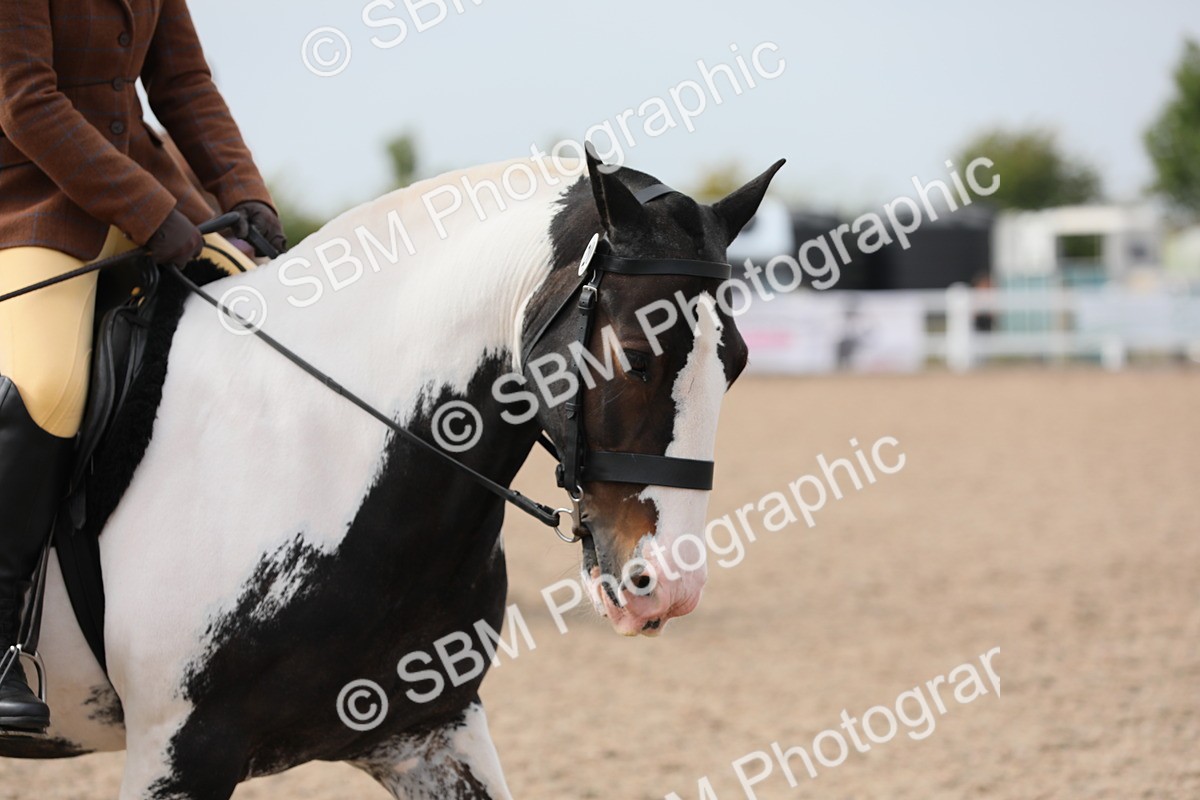SBM_16971 - Class 314 Family Horse/Pony