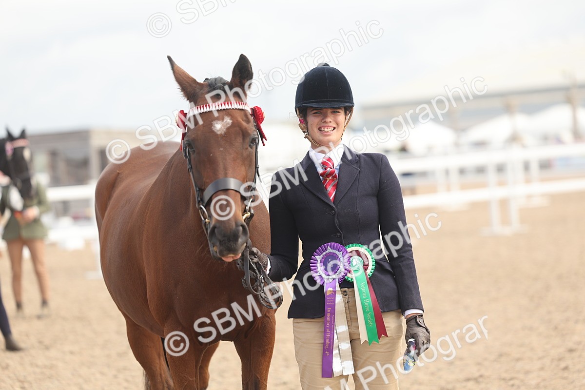 SBM_04508 - Class 18 - Handsomest Gelding (IH or Ridden)