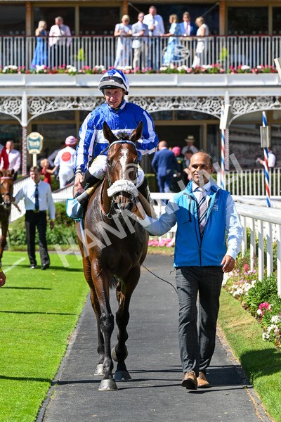 120725-Race 3-Fox Legacy-0267 - Race 3 3.10pm John Smith's Cup Handicap