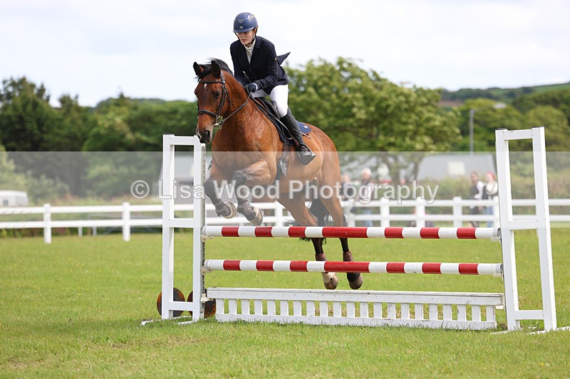 3E7A7812 - Class 13: Senior British Novice/90cm open