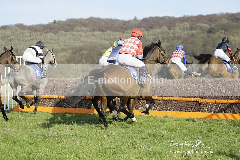 PtP 260222 691 - Kingston Blount Racing Club Point-to-Point 26/02/22