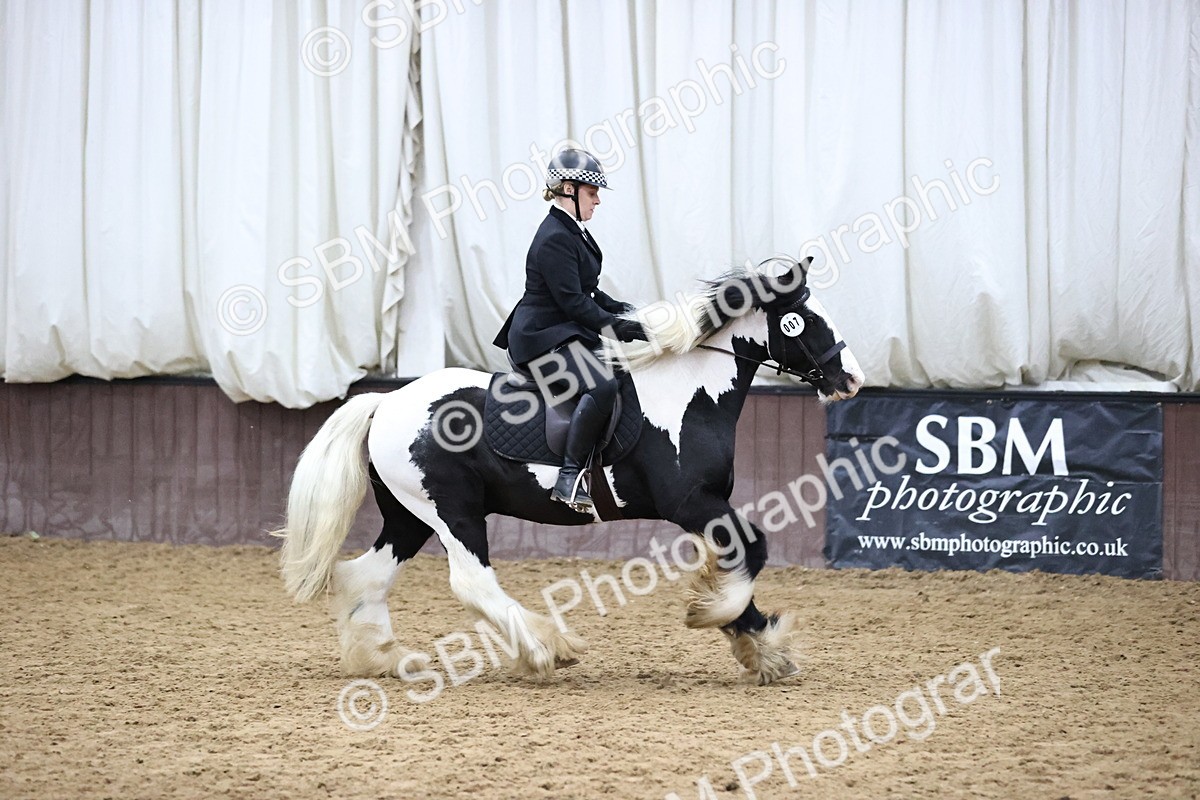 SBM_6342 - Class 45-42 - Ridden Irish Breeds-Ridden Cob