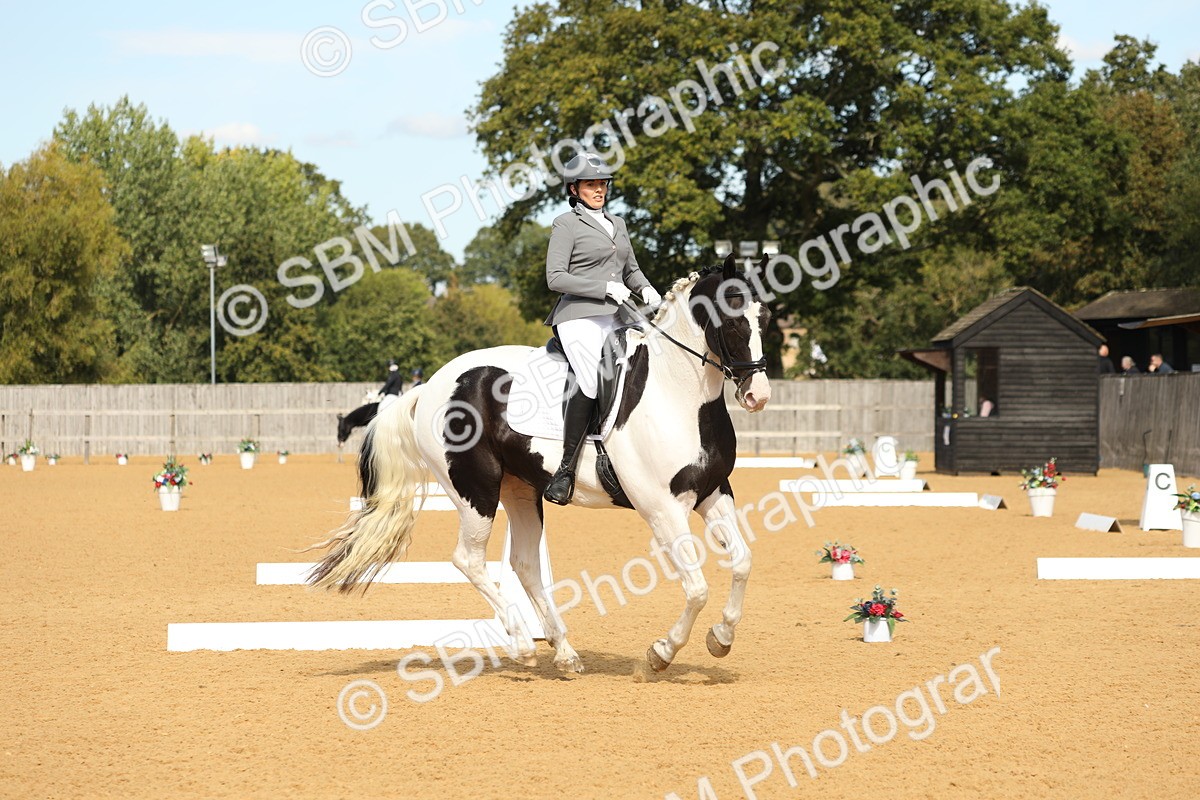 SBM_22241 - D17 - Grand Tour Championship - Novice 27