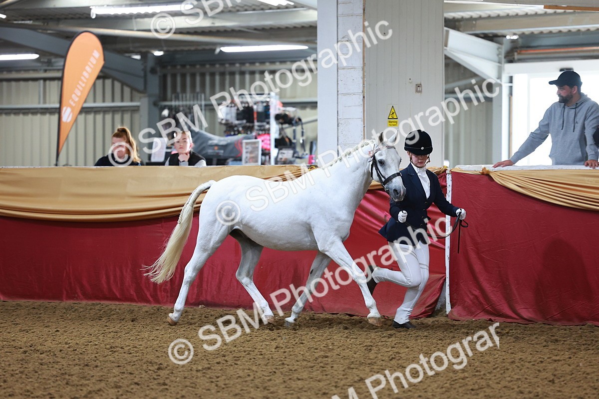 SBM_14662 - Class B - Junior Champ 11 to 16 Years