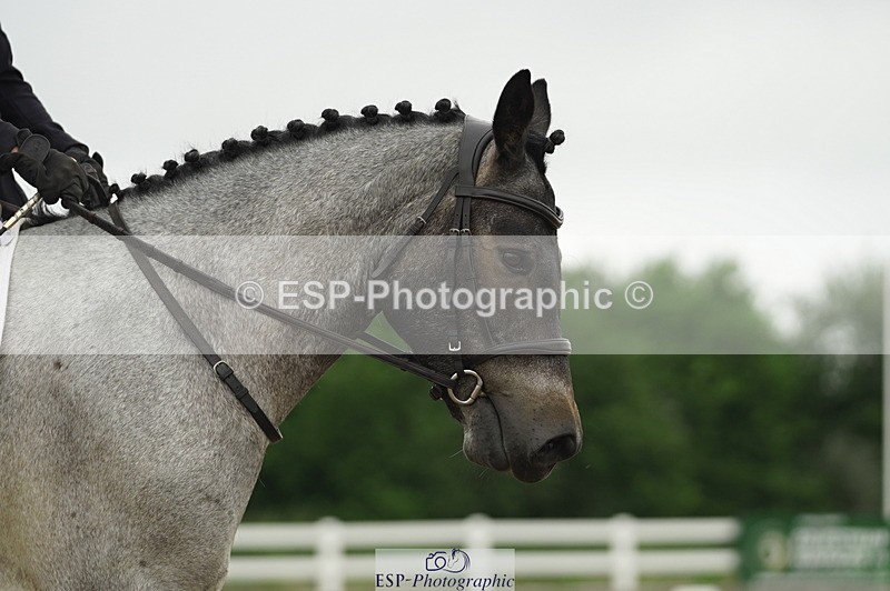 230708A-100858-00323 - Intro C