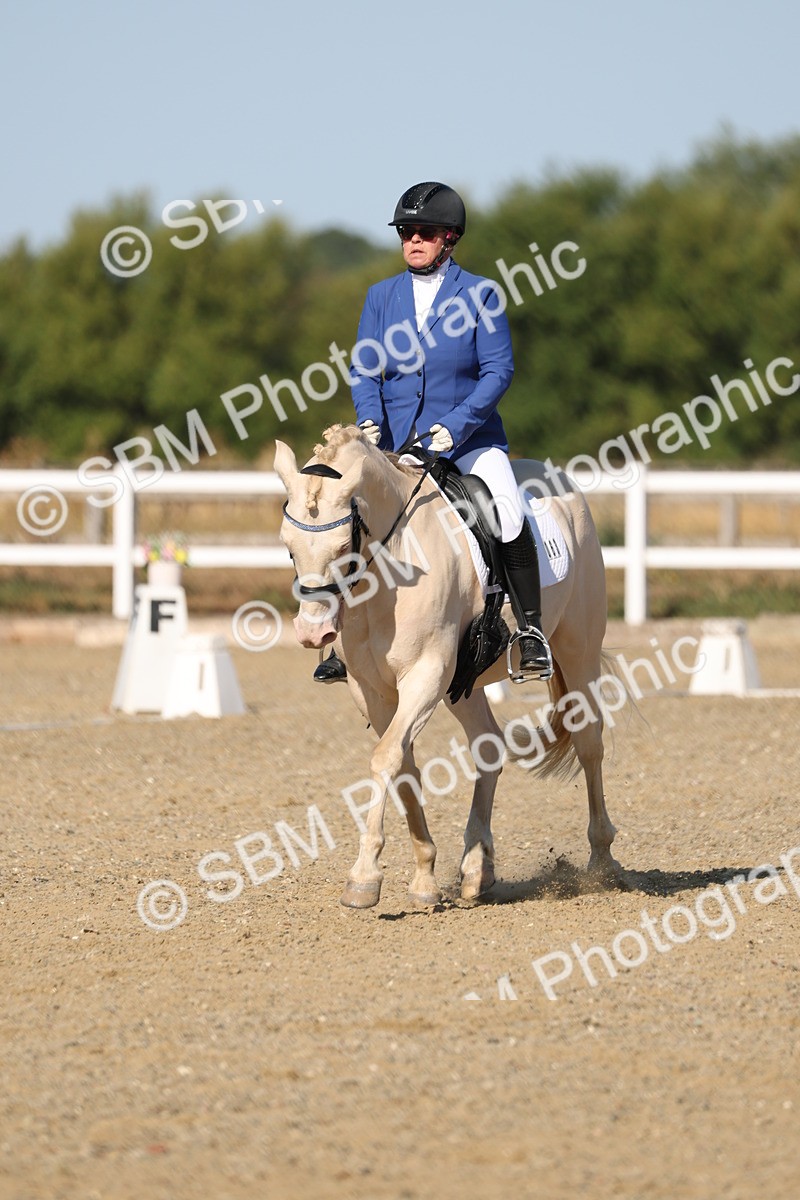 SBM_012708 - Class 1 - P5 Bronze 9.00.10.12
