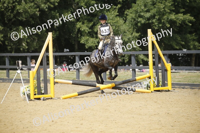 20250622-4014 - 50cm