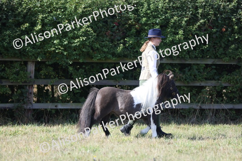 20250831-1374 - Class 21 - Inhand Open