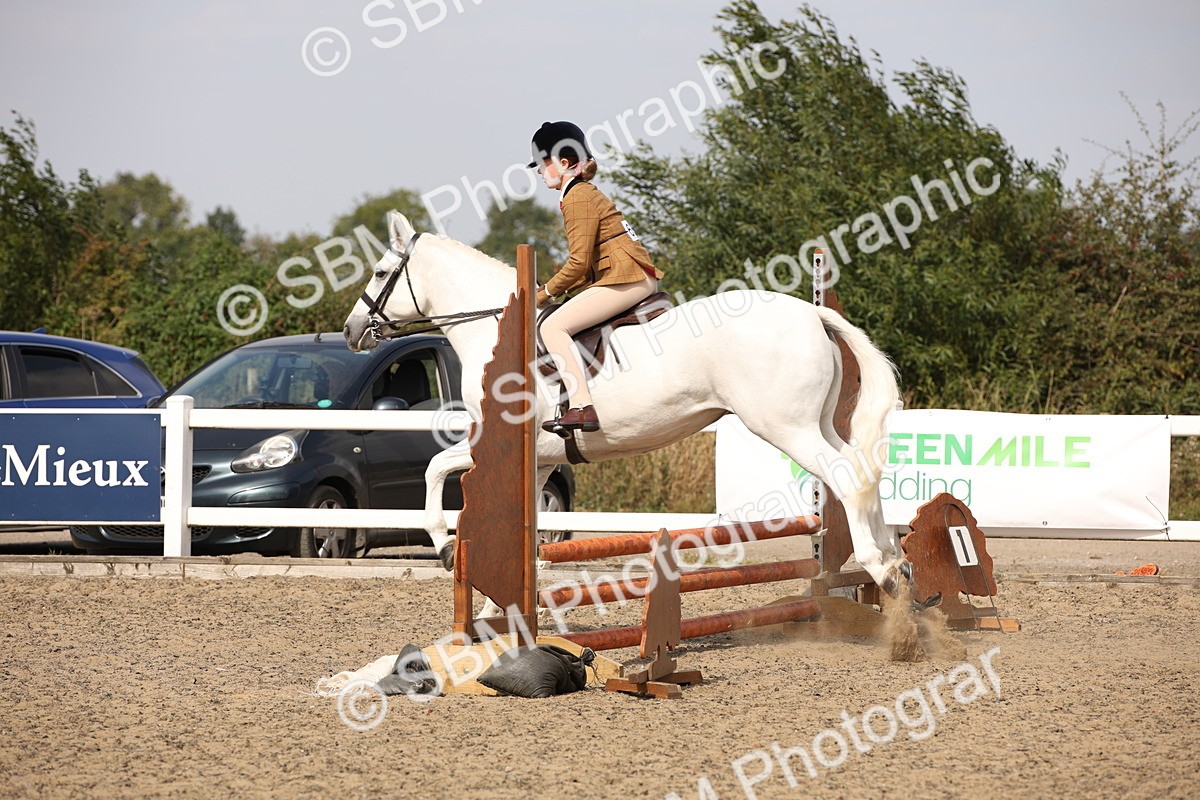 SBM_15039 - Class 408a - Working Veteran 70cm (15-19