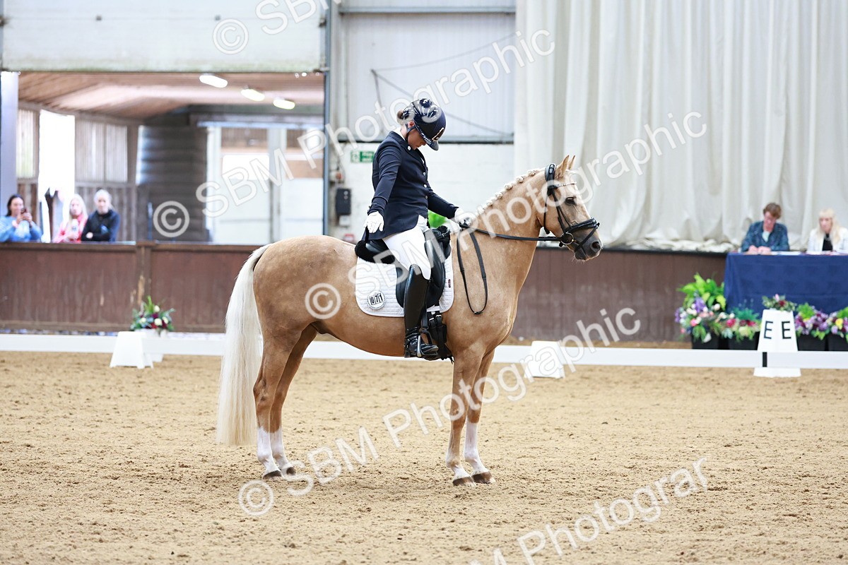 SBM_017297 - Class15 - FEI Pony