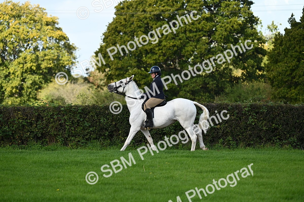 SBM_01577 - S2 - TSR Ridden Horse Showing