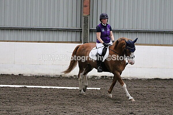 SIAL3816 - CAbin Dressage 5th july 2025