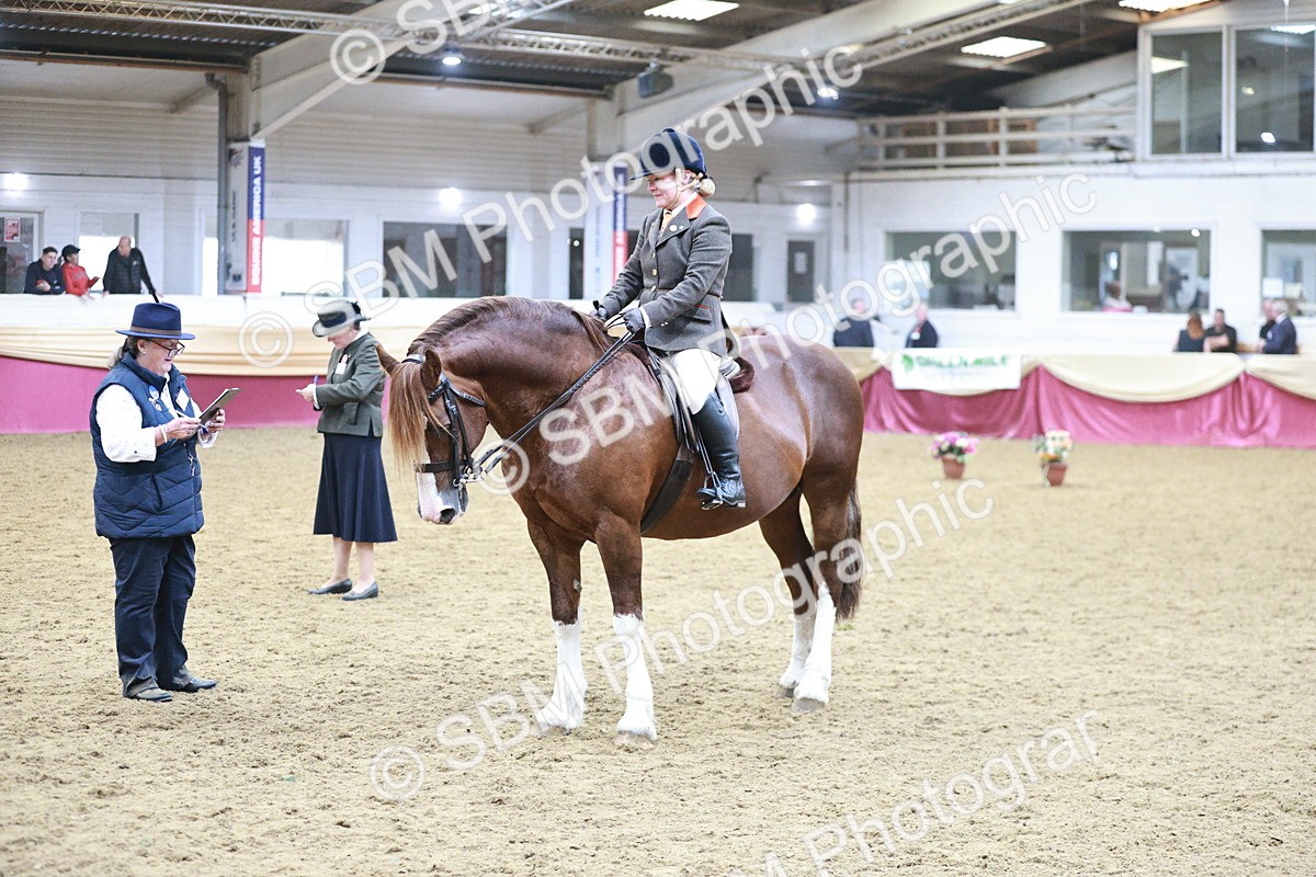 SBM_08915 - Class 12R - Regional Ridden Pre-Vet