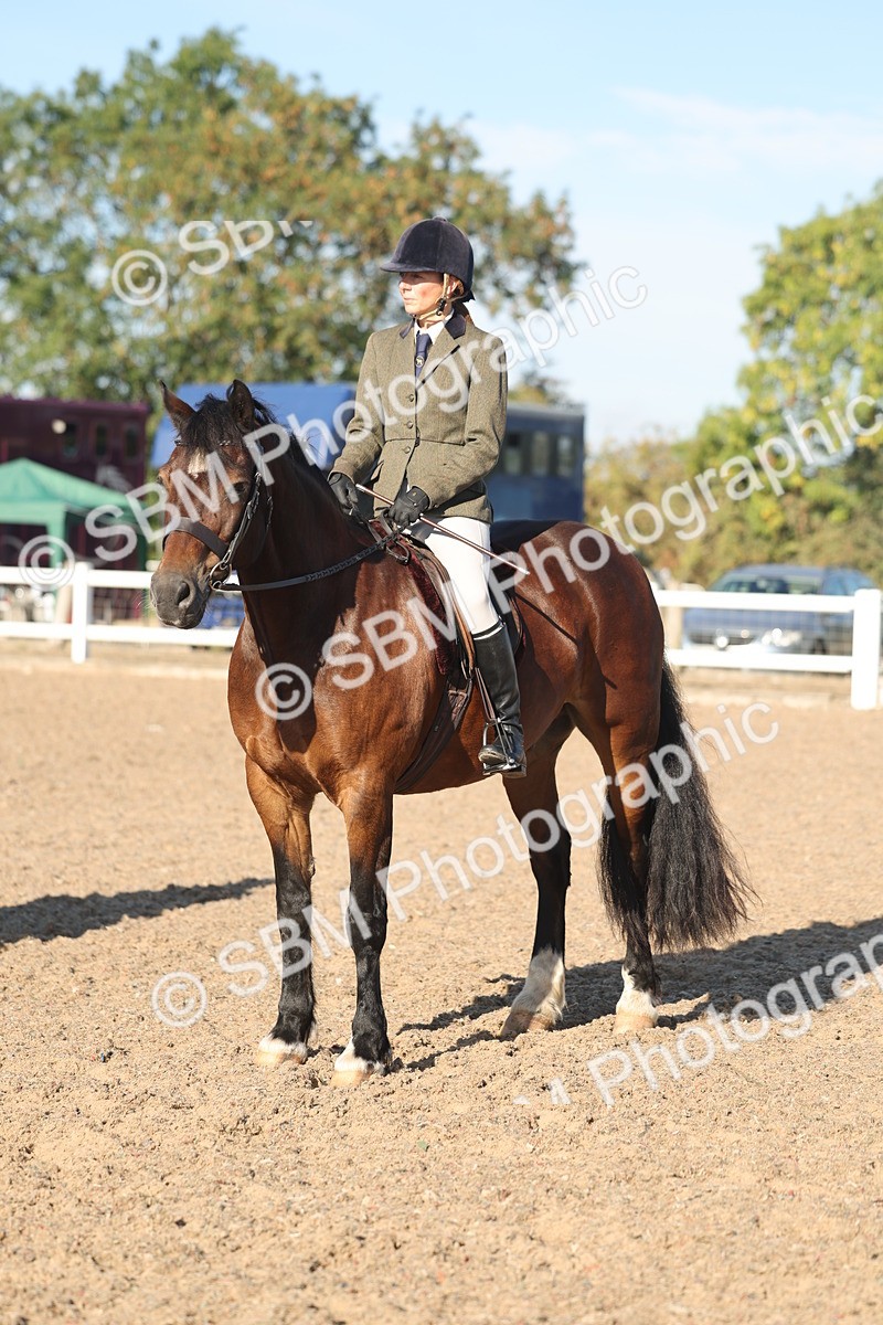 SBM_11081 - Class 302 - Ridden M&M Large Breeds