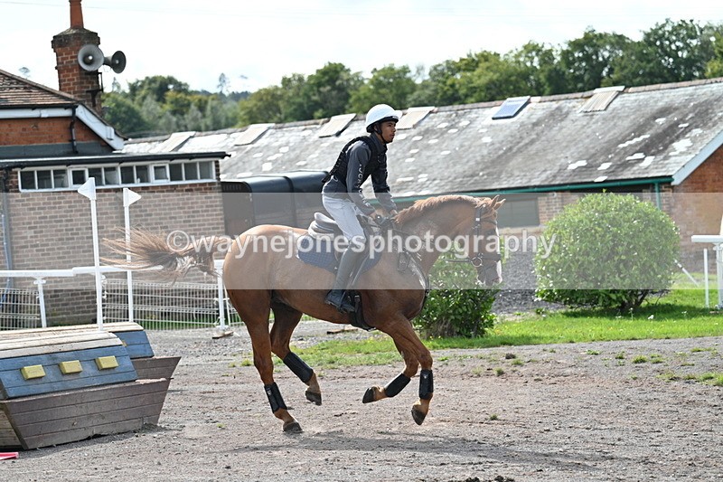 WJ7_1447 - Time 12:34 to 13:16