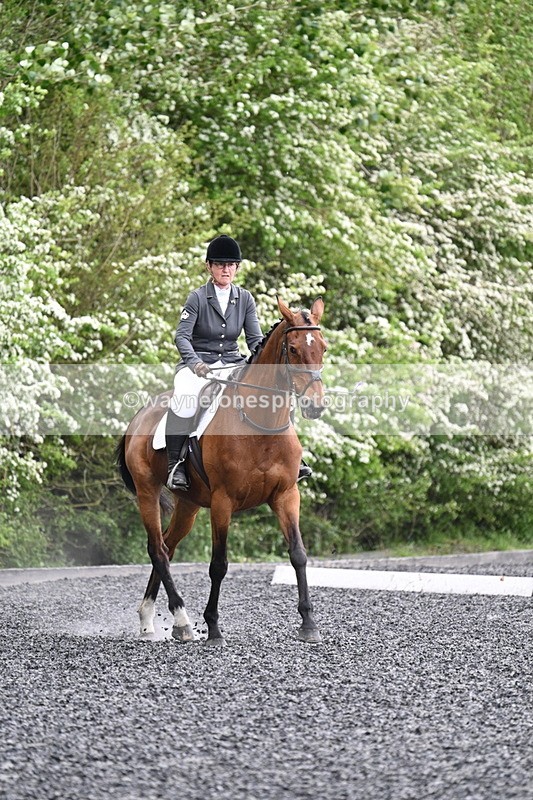 WJ7_1164 - Time 14:16 to 14:55