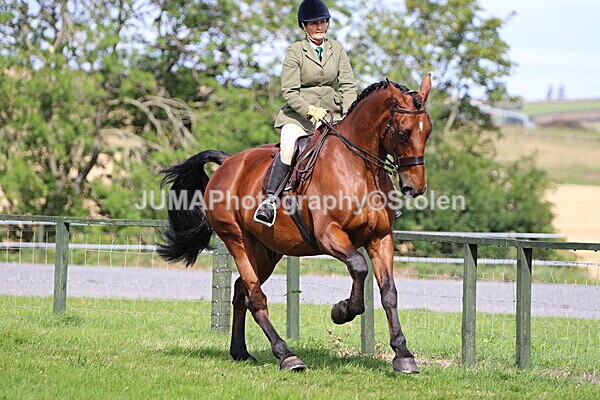 SIAL6951 - Ring 1 & 3