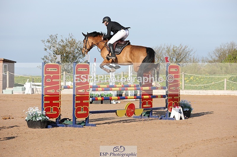 250427-083617-14549 - Cls 28 Young Horse 5yr old