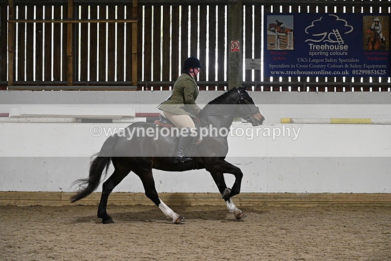 WJ7_3953 - Class 17 Ridden Cob