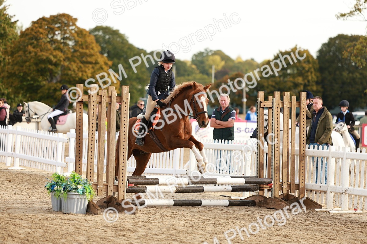 SBM_55657 - J11 - Junior Pony 50cm Championship