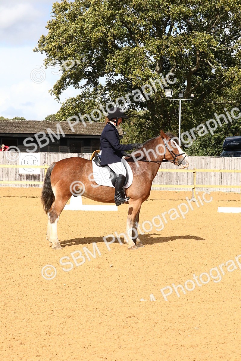 SBM_23617 - D5 - Small Tour Championshop Intro 2