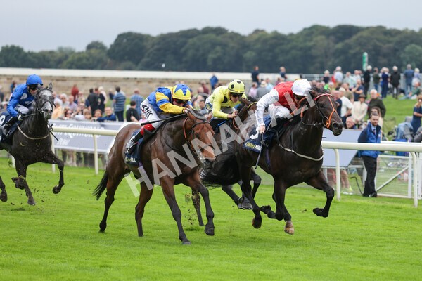 yr24092021r2-19 - Race 2 2.05pm William Hill Extra Places Races Stakes