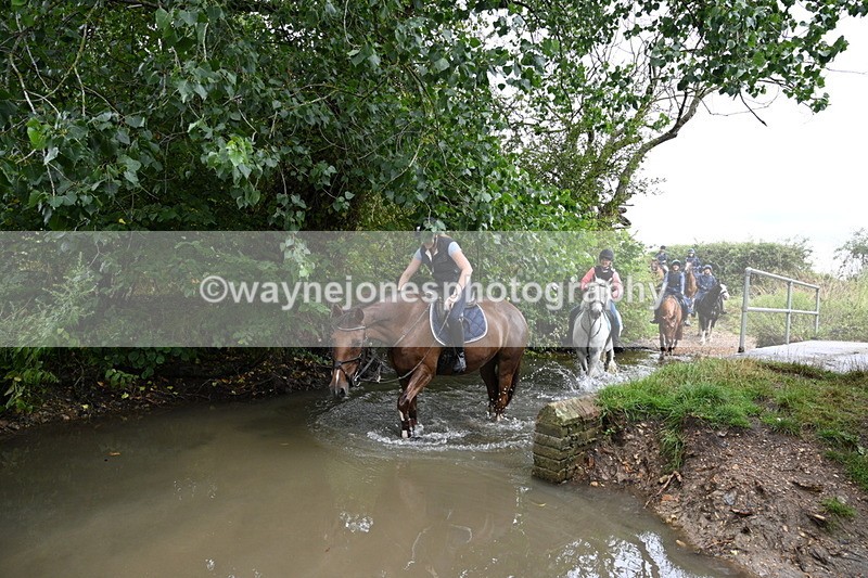 WJ7_9316 - Group 6?