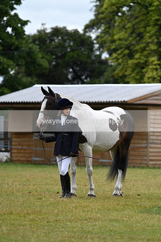 WJ7_6316 - Class 4a Prettiest Mare over 14hh