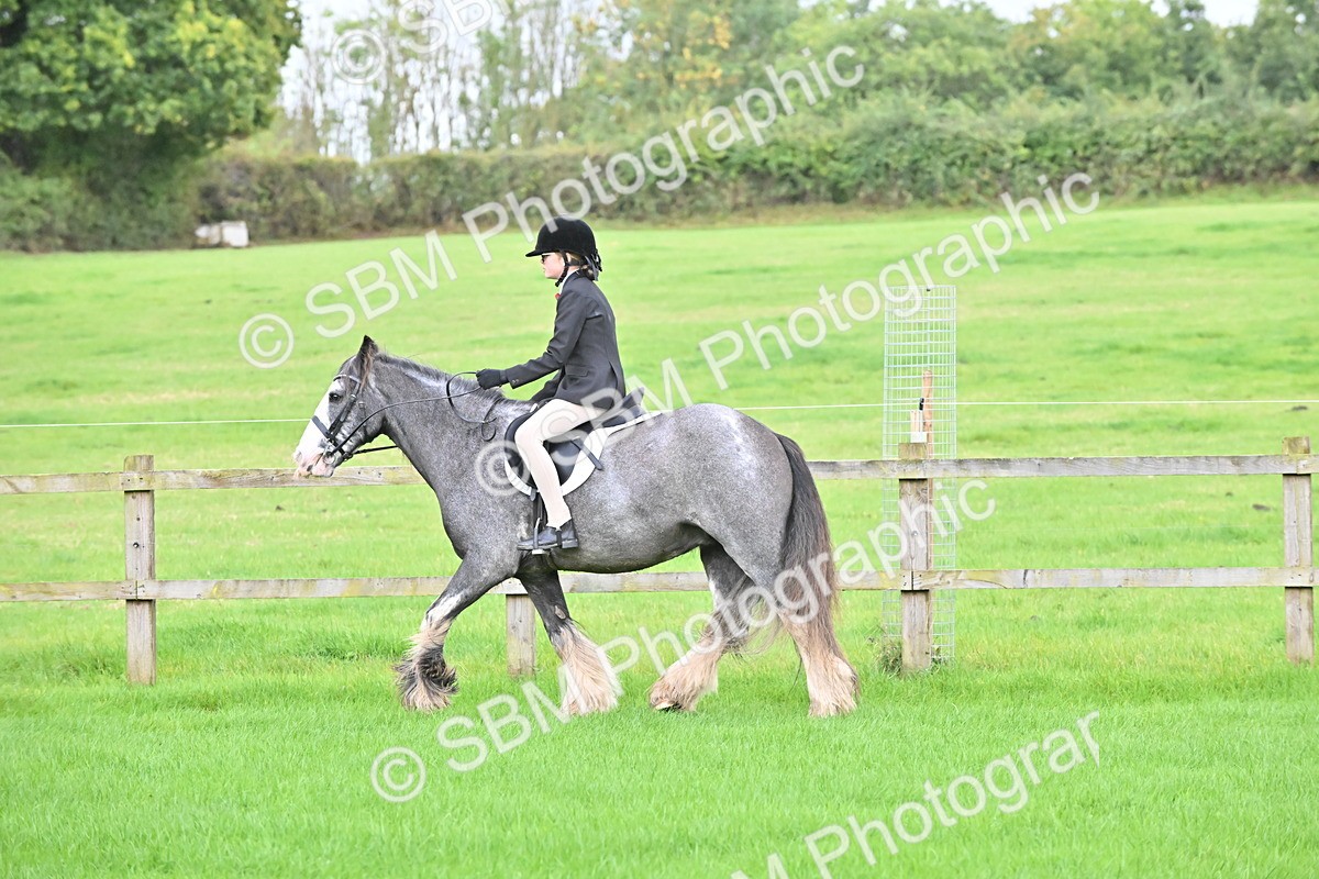 SBM_42886 - S12 - Family Horse & Pony
