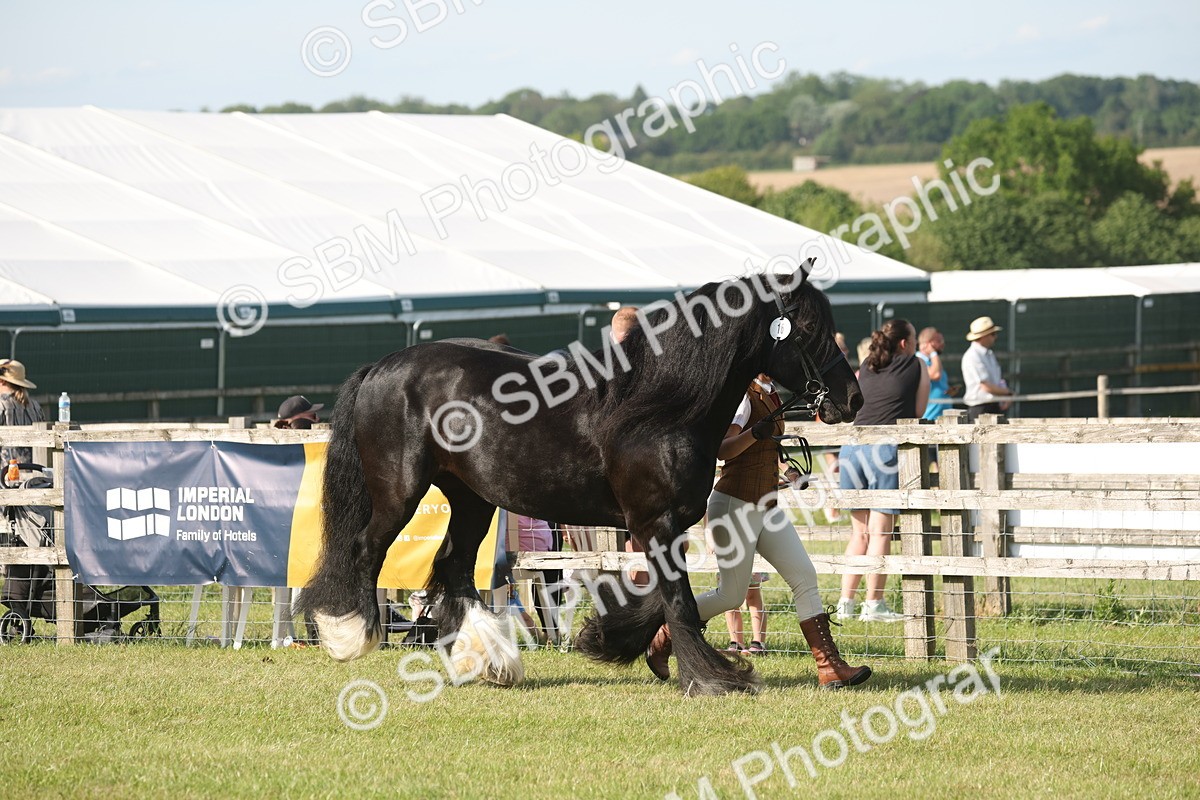 SBM_10331 - Class 33-38 - SSADL RIHS Qualifiers