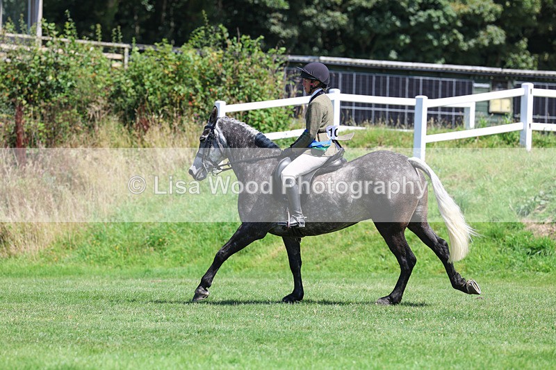 3E7A9208 - Working Hunter Championship