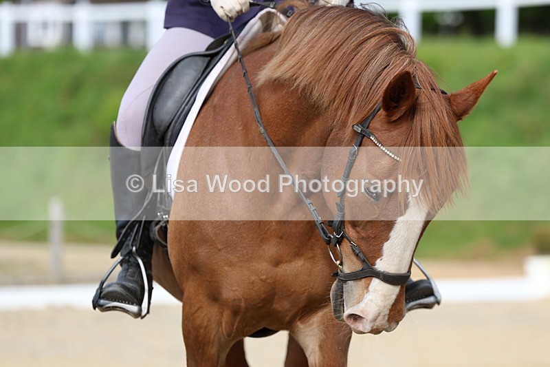 3E7A3354 - Class 2: INTRO B- INTRO 3 2024