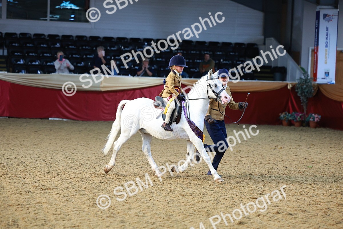 SBM_07764 - Class 101 - HOYS Veteran Qualifier - Ridden Diamond