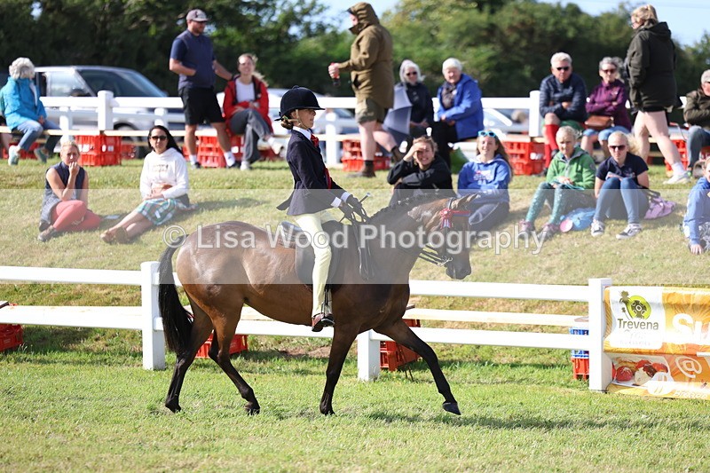 3E7A3812 - Supreme Championship