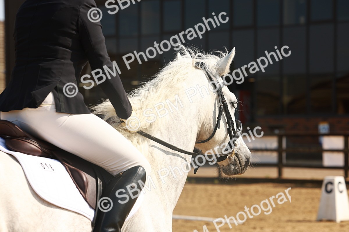 SBM_000081 - Class 1 - Intro 2