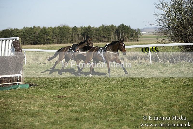 PtP 070118 -348 - Larkhill Racing Club Point to Point Larkhill 07/01/2018