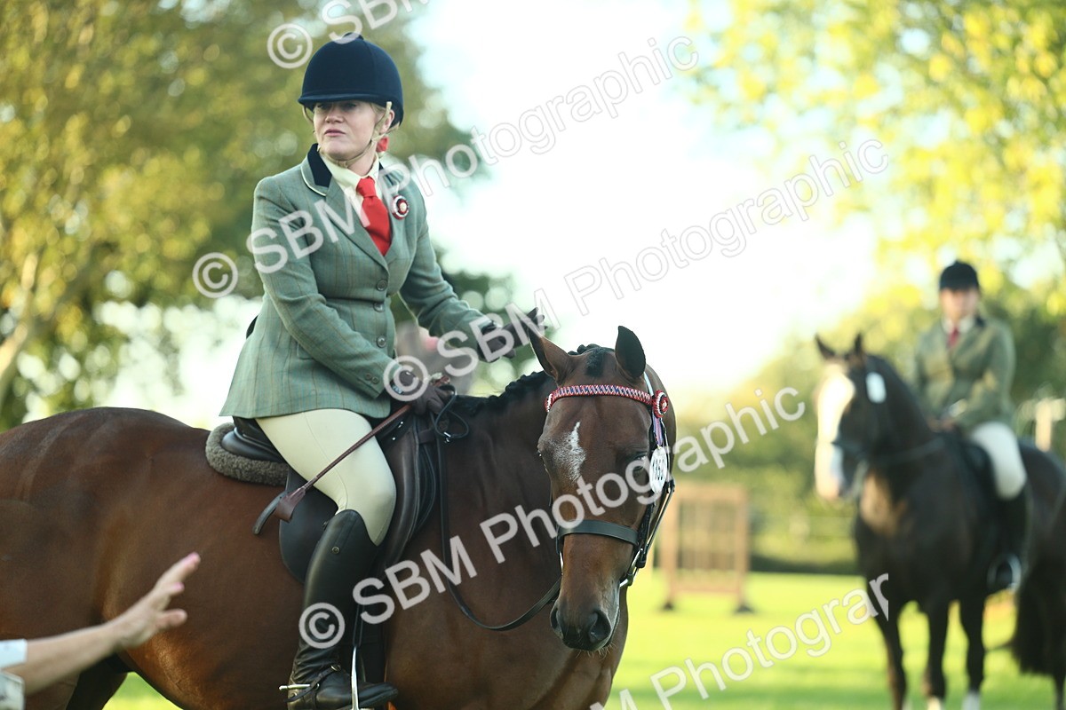 SBM_55583 - S14 - Riding Club Horse