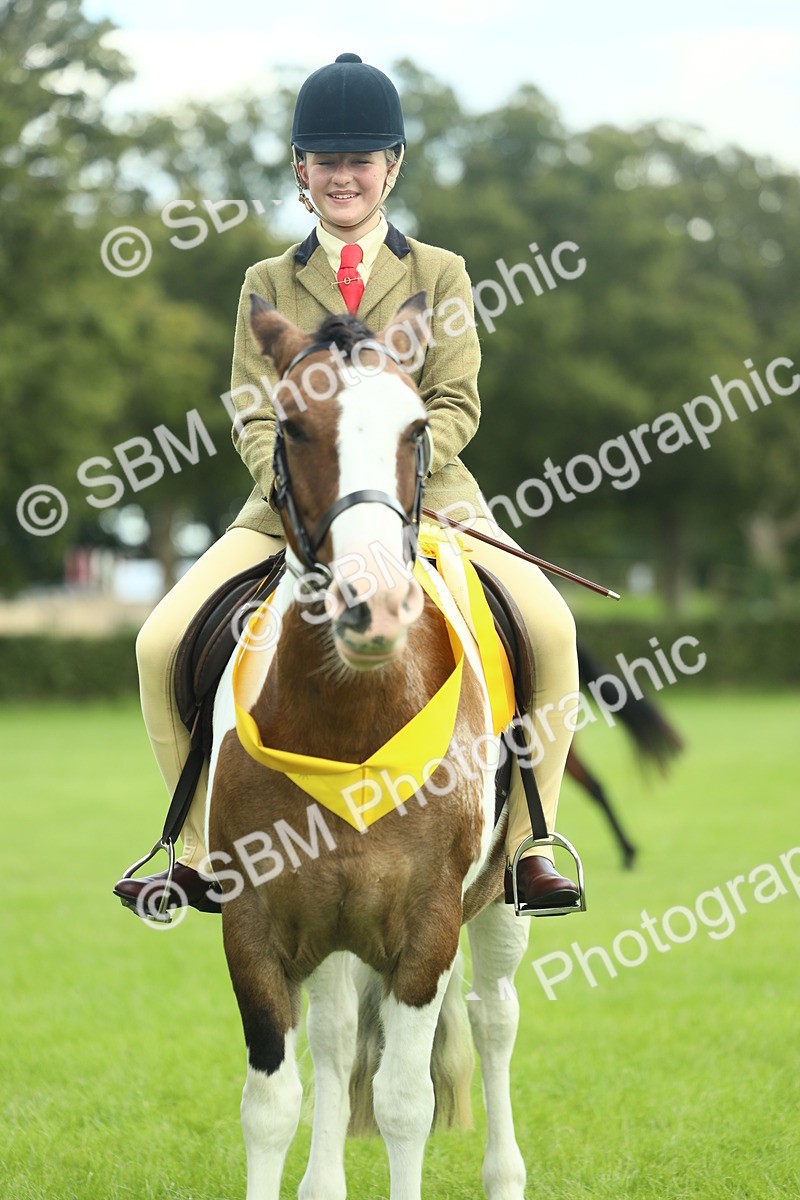 SBM_42184 - S29 - Novice & Newcomers Working Hunter Pony