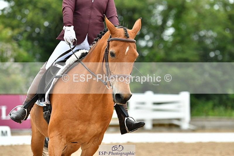 230708A-114401-02605 - Prelim 13