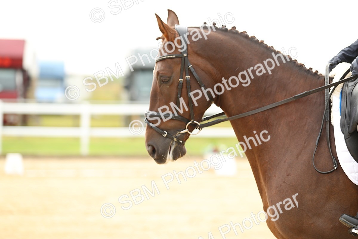 SBM_017234 - Class 13 - Novice 23 - 13.31-14.13