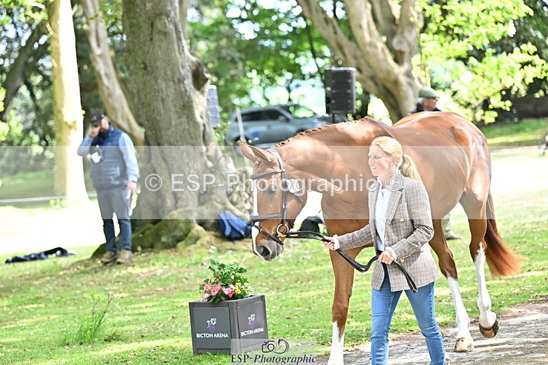250521A-151846-00416 - B-307-Rosalind.Canter-SILVESTERS.FINESSE