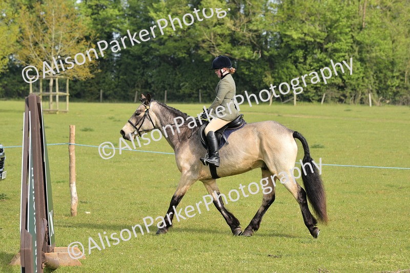 20260426-0886 - Class 18 - Novice Showing