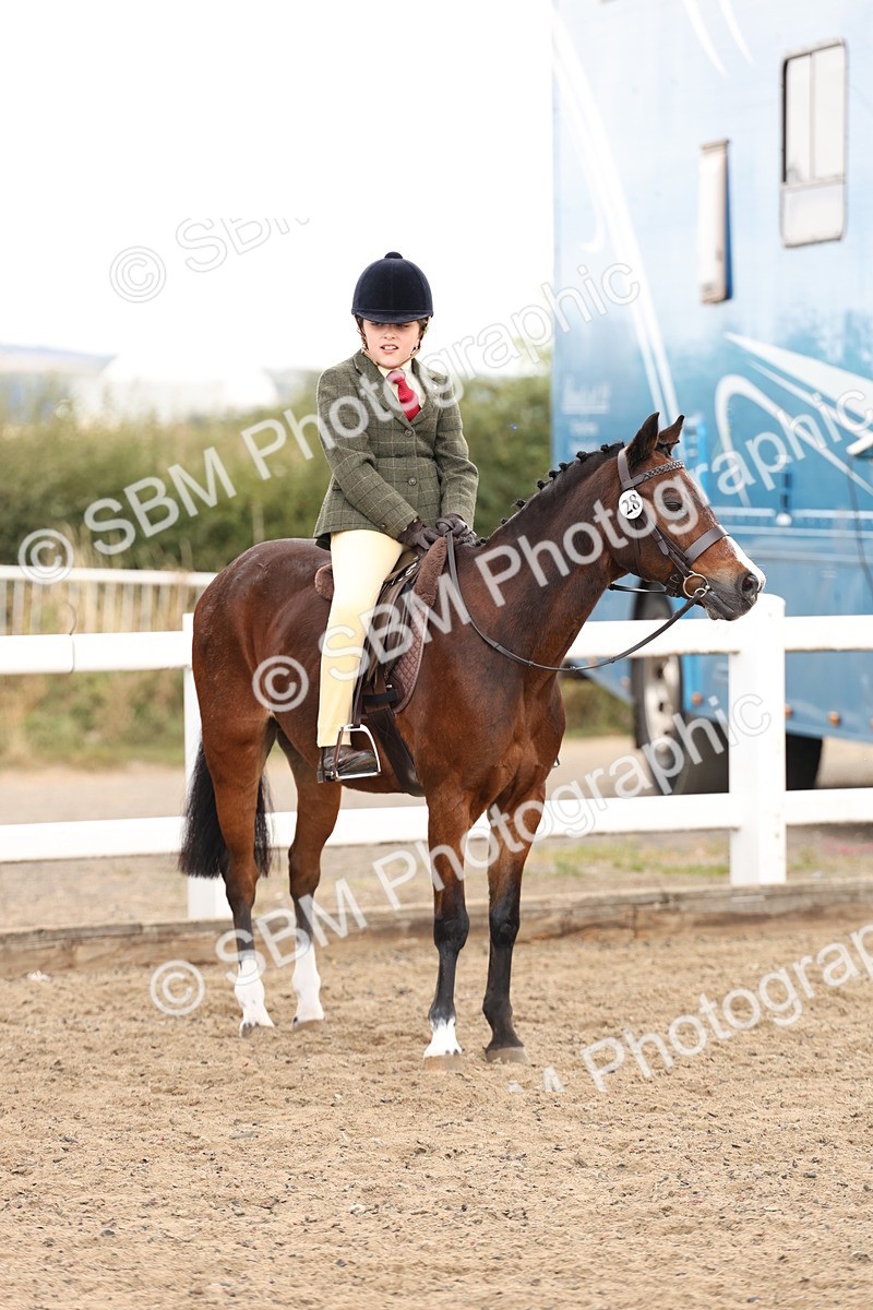 SBM_02904 - Class 53 - Ridden Competition Horse/Pony