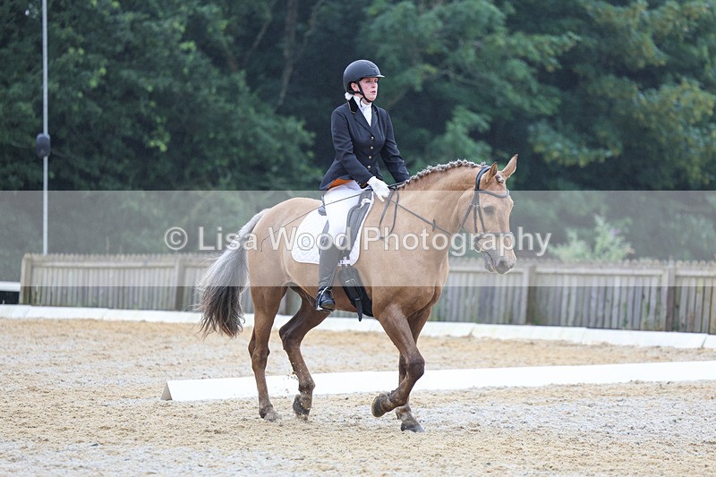 3E7A8583 - Class 2: Intro 3 2024 section B