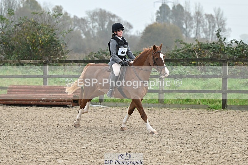 241110-100435-00178 - 40cm Showjumping